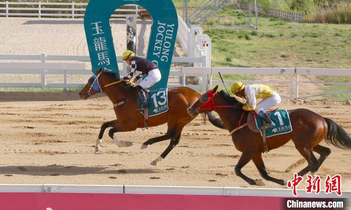 山西右玉玉龙国际赛马场迎来2024玉龙国际赛马公