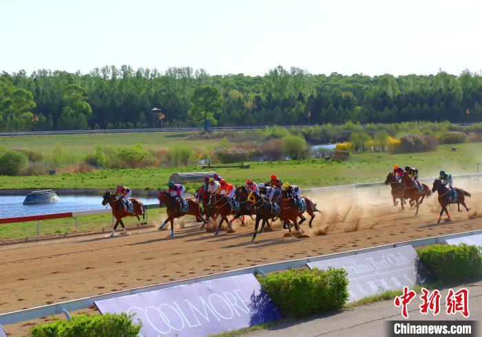 山西右玉玉龙国际赛马场迎来2024玉龙国际赛马公